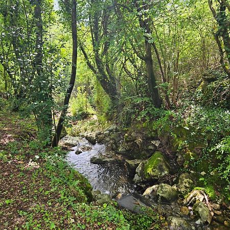 Villa Rada Igalo Bagian luar foto