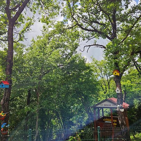 Villa Rada Igalo Bagian luar foto