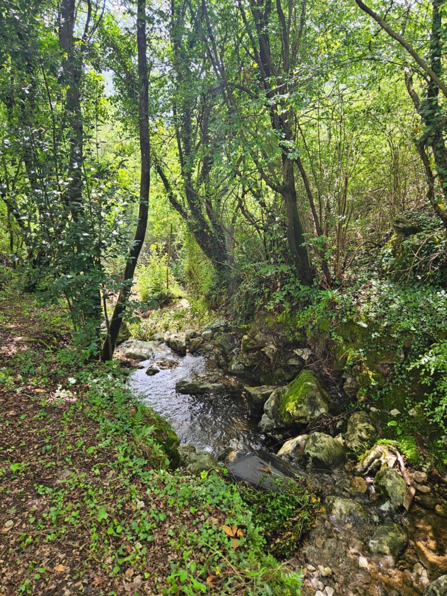 Villa Rada Igalo Bagian luar foto